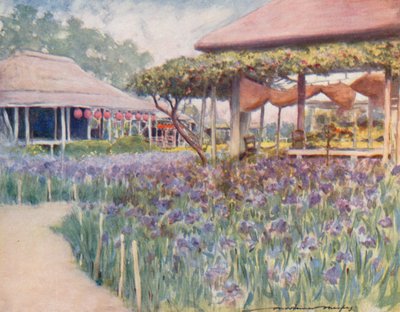 Un giardino di iris da Mortimer Ludington Menpes